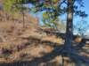 img_20201115_133114188_hdr_small.jpg