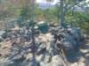 img_20201115_133617468_small.jpg