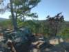img_20201115_133622330_small.jpg