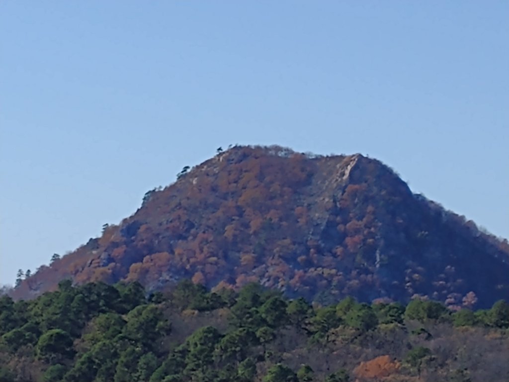 img_20201115_133704427.jpg