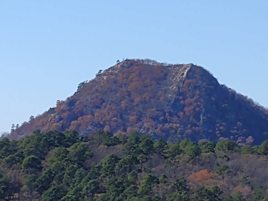 img_20201115_133711550.jpg