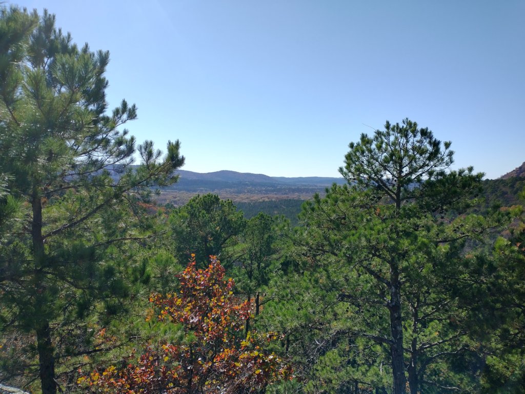 img_20201115_133906846_hdr.jpg