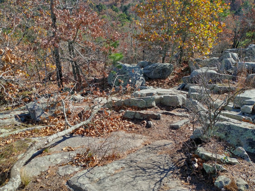 img_20201115_133931401_hdr.jpg