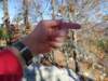 img_20201115_134033791_small.jpg