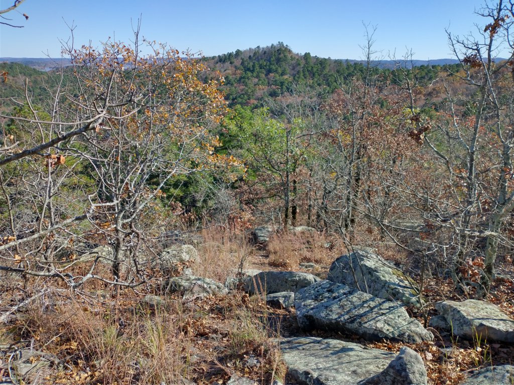 img_20201115_134051914_hdr.jpg