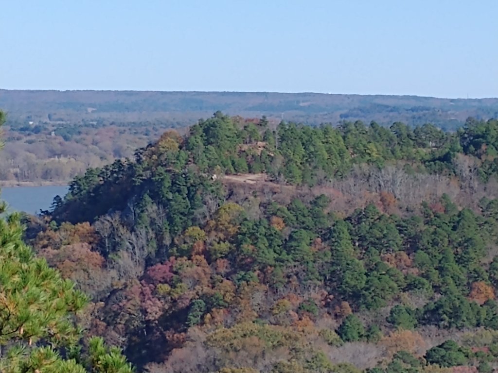 img_20201115_134236827.jpg