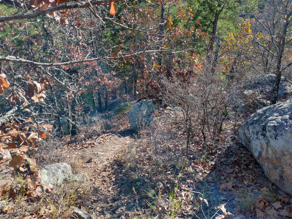 img_20201115_134536658_hdr.jpg