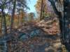 img_20201115_134704053_hdr_small.jpg