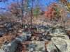 img_20201115_134747128_hdr_small.jpg