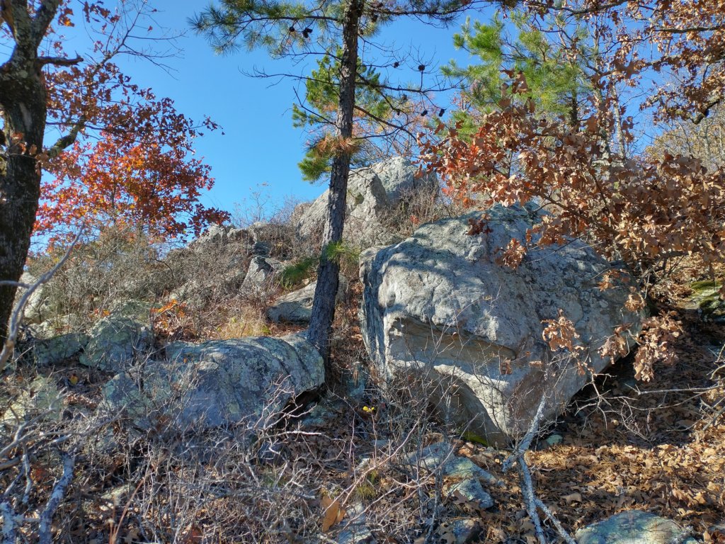 img_20201115_135316836_hdr.jpg
