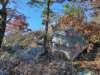 img_20201115_135316836_hdr_small.jpg