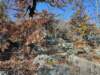 img_20201115_135319364_hdr_small.jpg