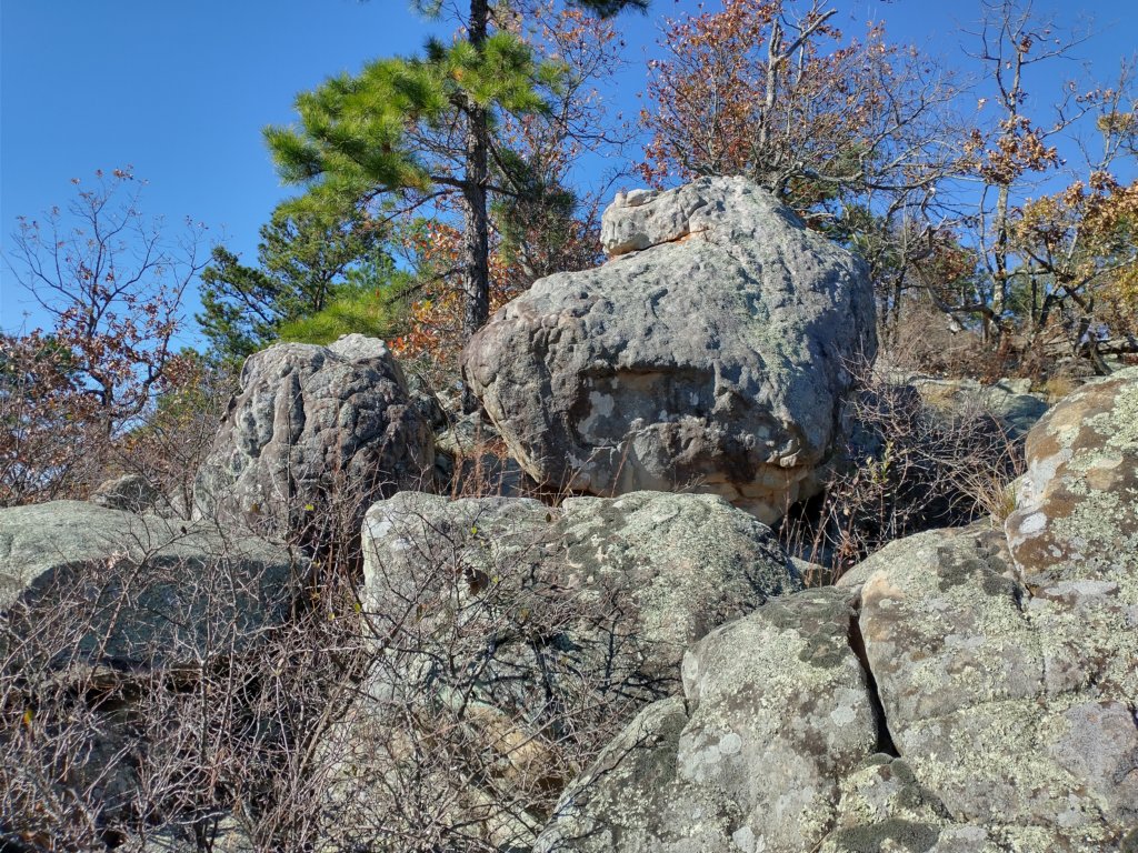 img_20201115_135357239_hdr.jpg