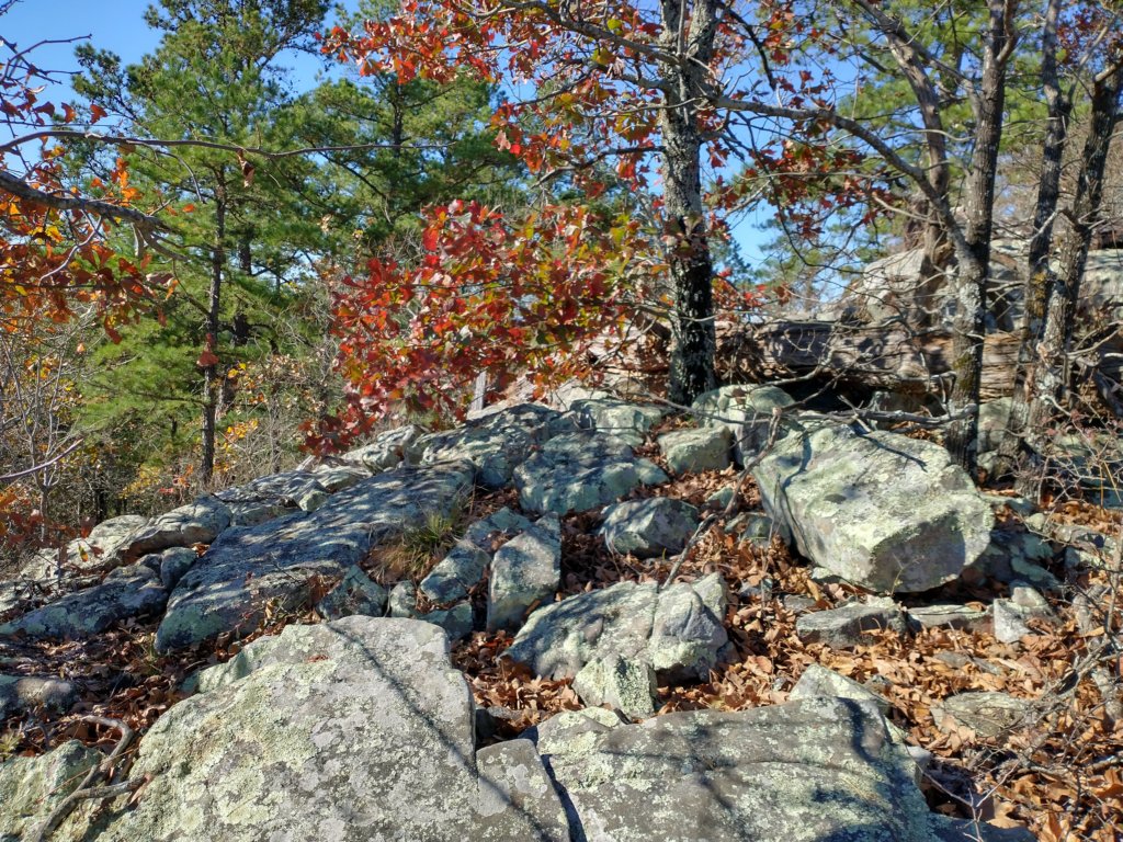 img_20201115_135439220_hdr.jpg
