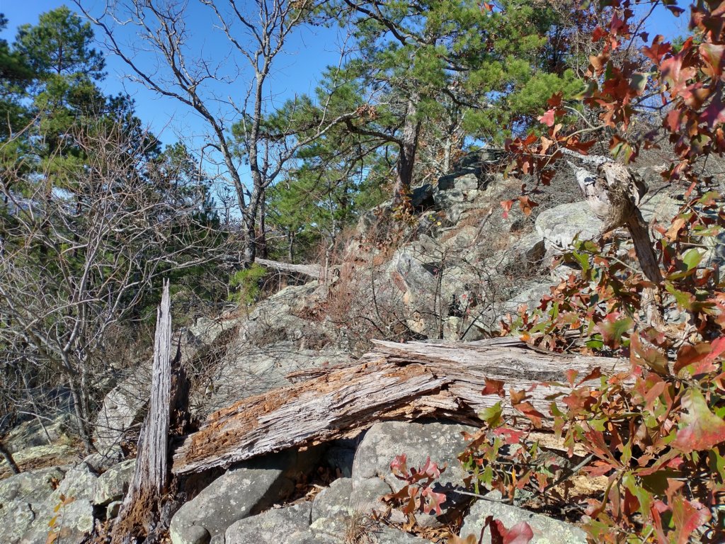 img_20201115_135457752_hdr.jpg