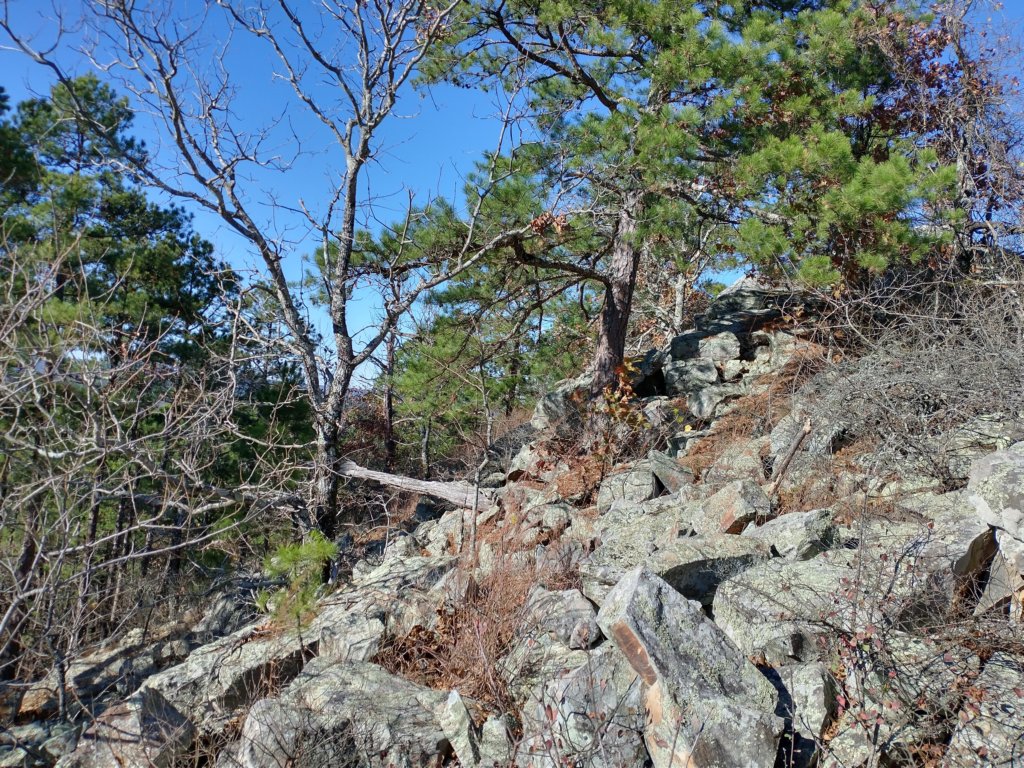 img_20201115_135537036_hdr.jpg