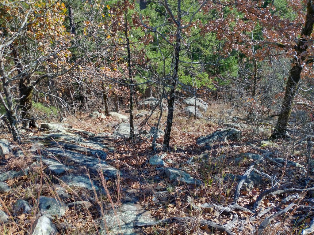 img_20201115_135758582_hdr.jpg