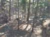 img_20201115_140014001_small.jpg
