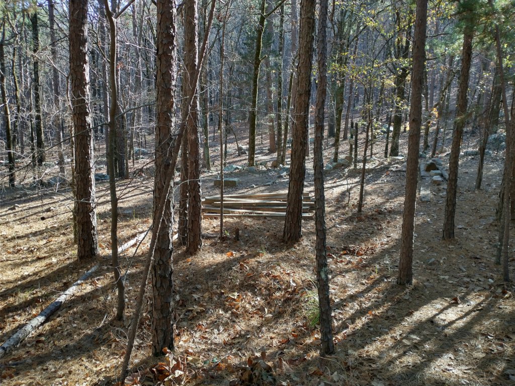 img_20201115_140053880_hdr.jpg