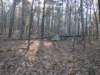img_20201115_140232373_small.jpg