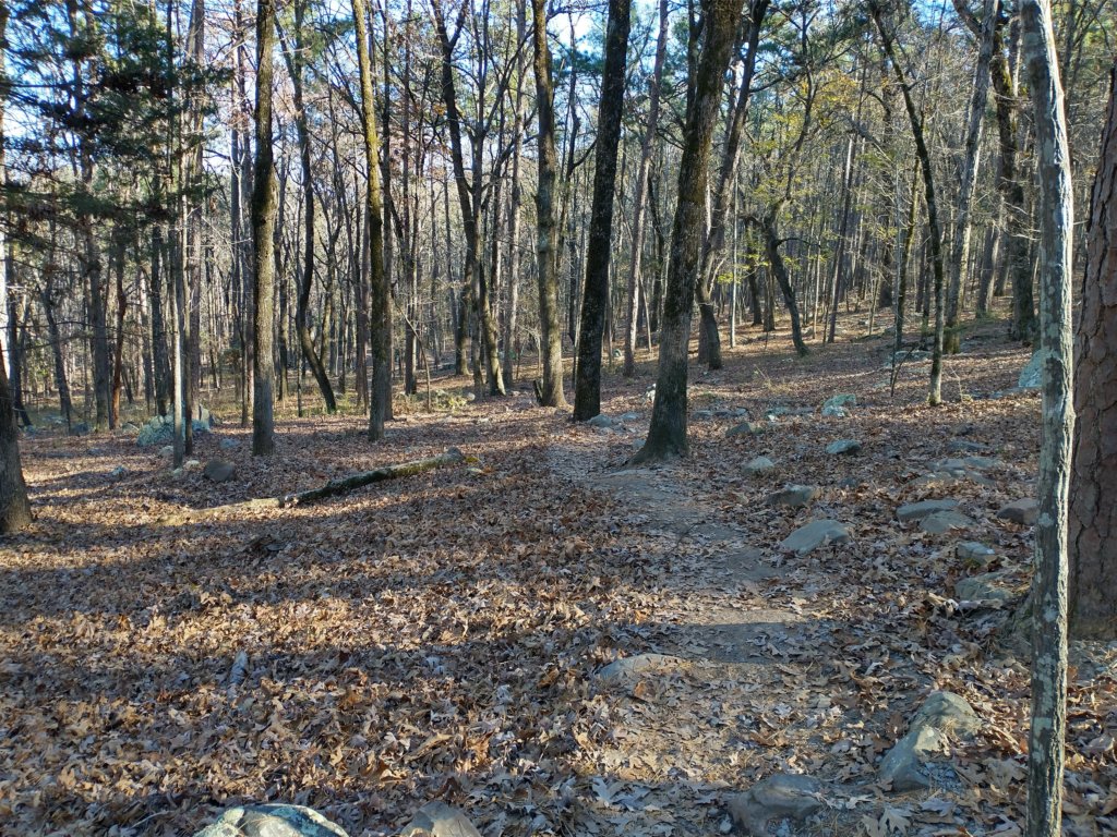 img_20201115_140329637_hdr.jpg