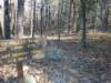 img_20201115_140734771_small.jpg