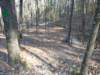 img_20201115_140822163_small.jpg
