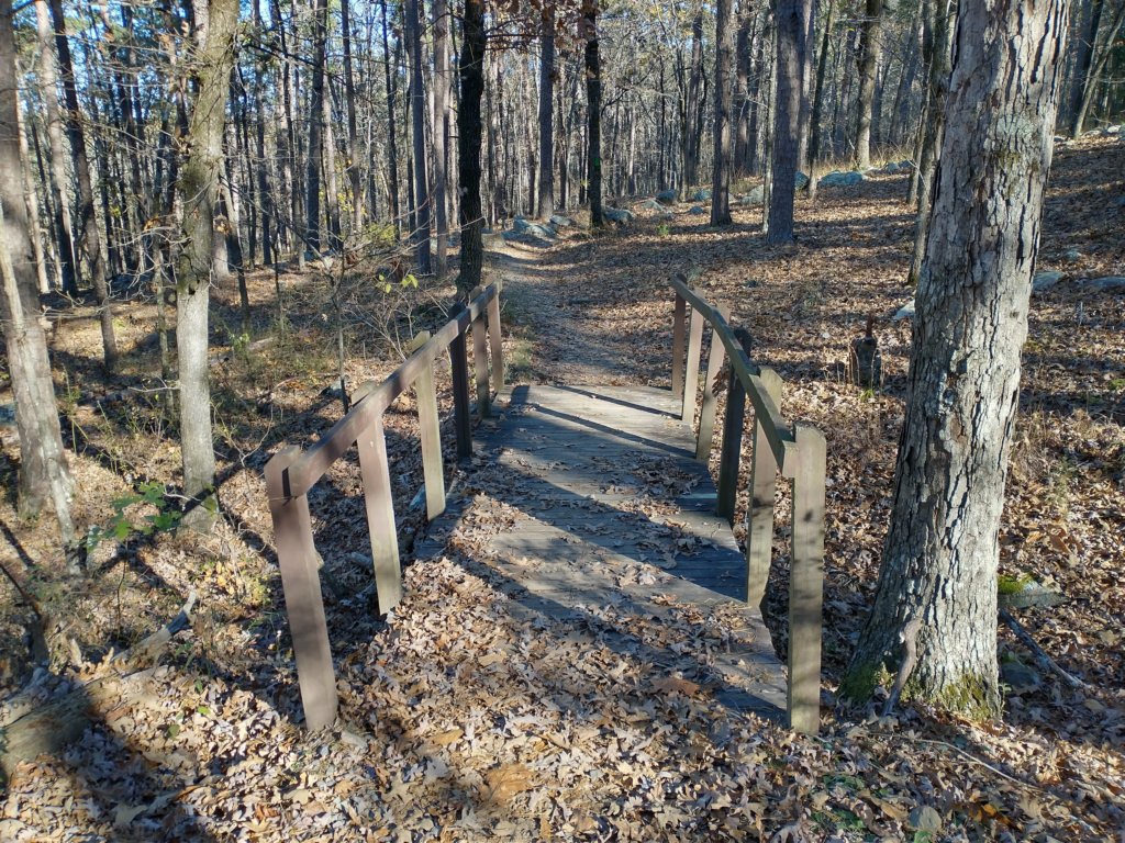 img_20201115_141026818_hdr.jpg