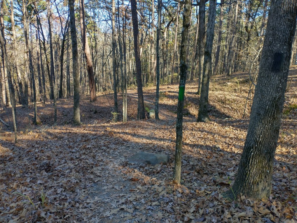 img_20201115_141225985_hdr.jpg