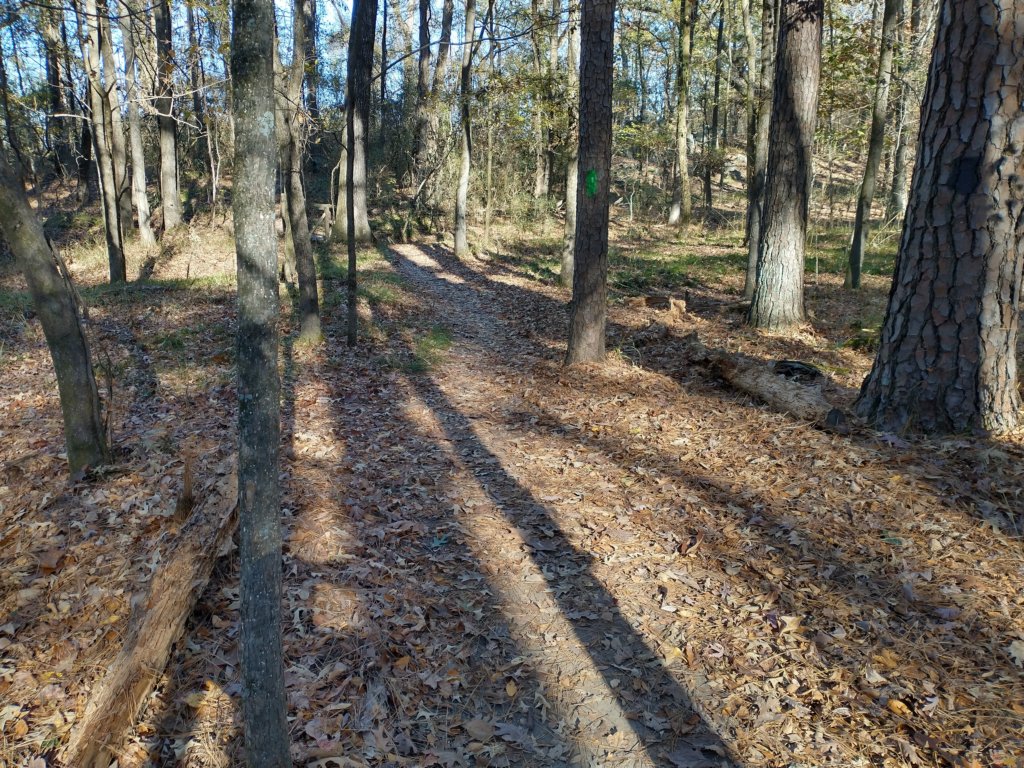 img_20201115_141627087_hdr.jpg