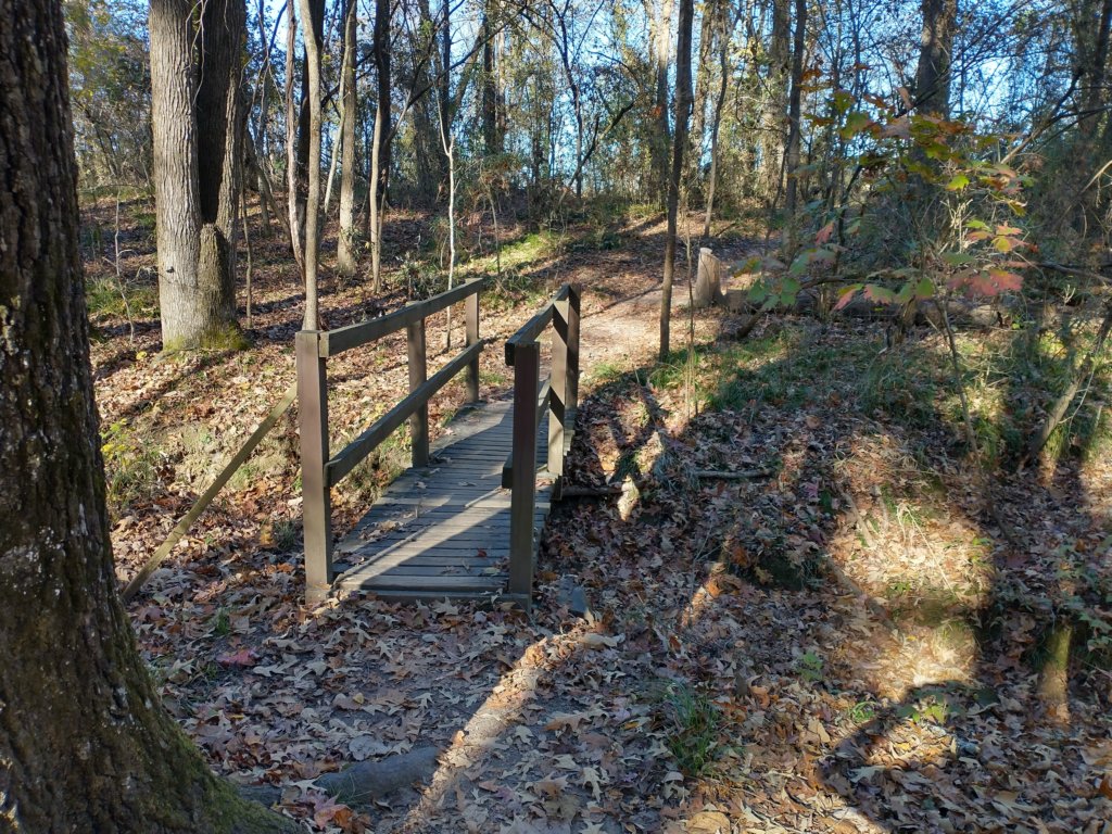 img_20201115_141702728_hdr.jpg