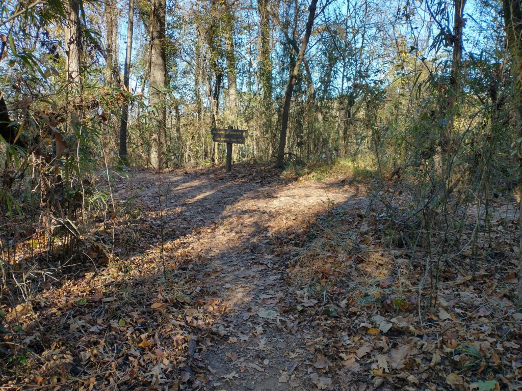 img_20201115_141729964_hdr.jpg