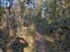 img_20201115_141754902_hdr_small.jpg