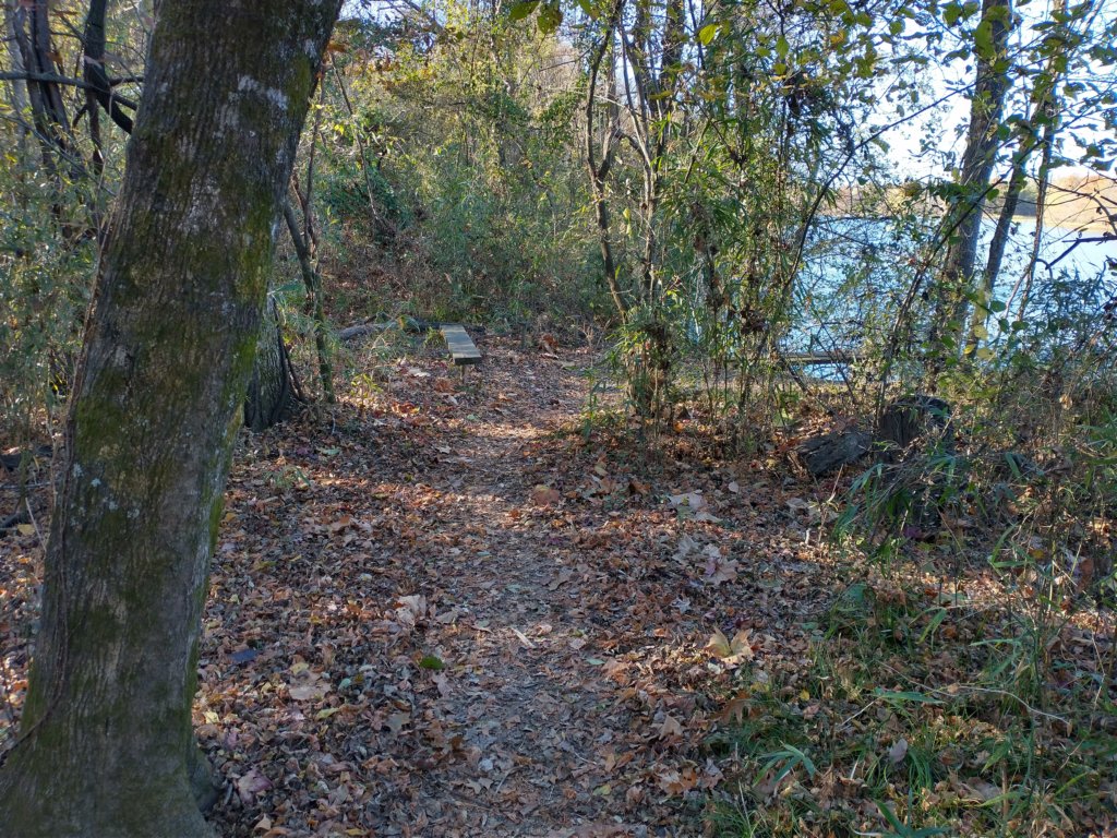 img_20201115_141828603_hdr.jpg
