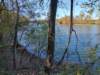 img_20201115_141844063_hdr_small.jpg