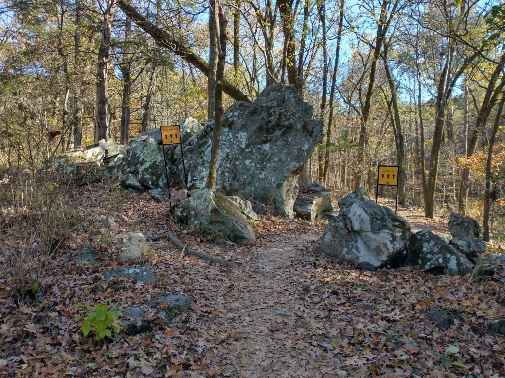 img_20201115_142001997_hdr.jpg
