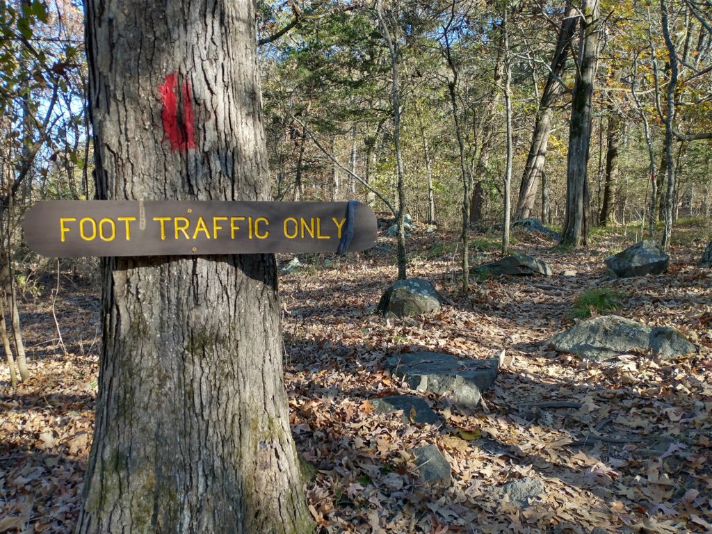 img_20201115_142022871_hdr.jpg