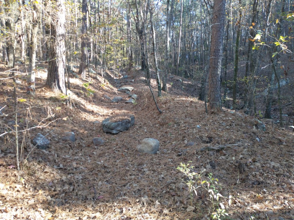 img_20201115_142223778.jpg