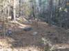 img_20201115_142223778_small.jpg