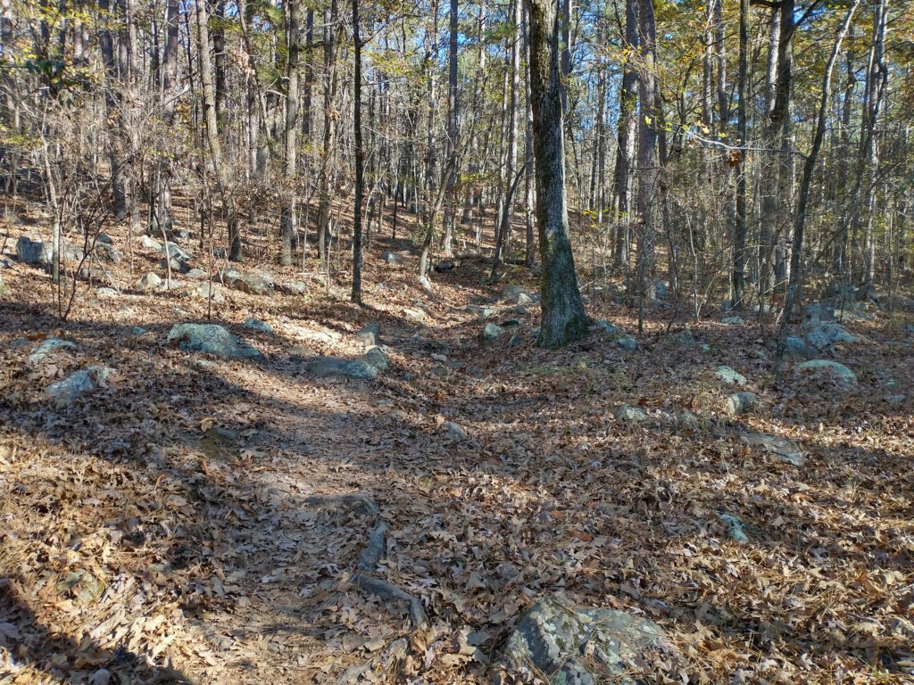 img_20201115_142318587_hdr.jpg