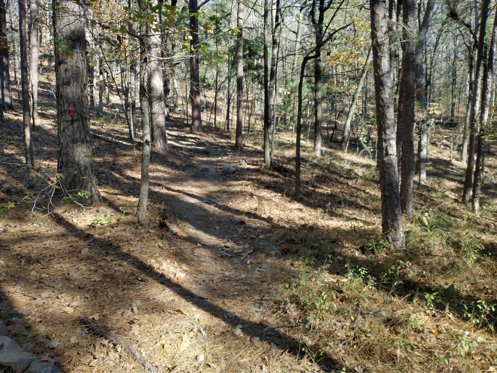 img_20201115_142442458_hdr.jpg