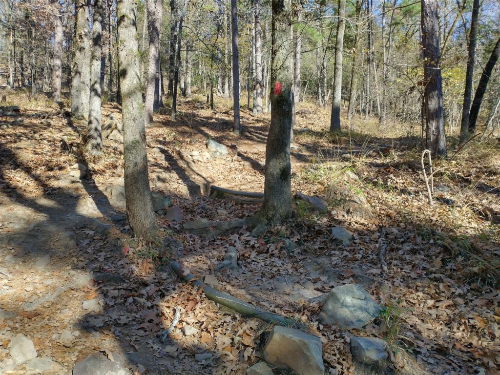 img_20201115_142523050_hdr.jpg