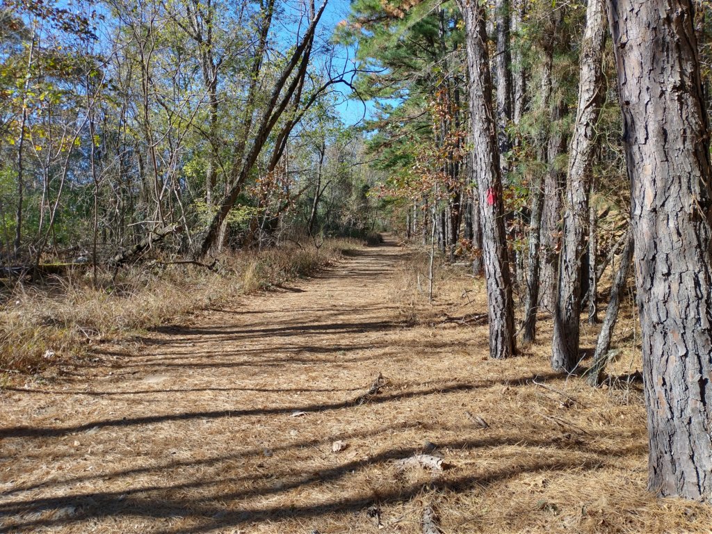 img_20201115_143003853_hdr.jpg