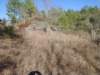 img_20201115_143255540_small.jpg