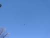 img_20201115_143258528_small.jpg