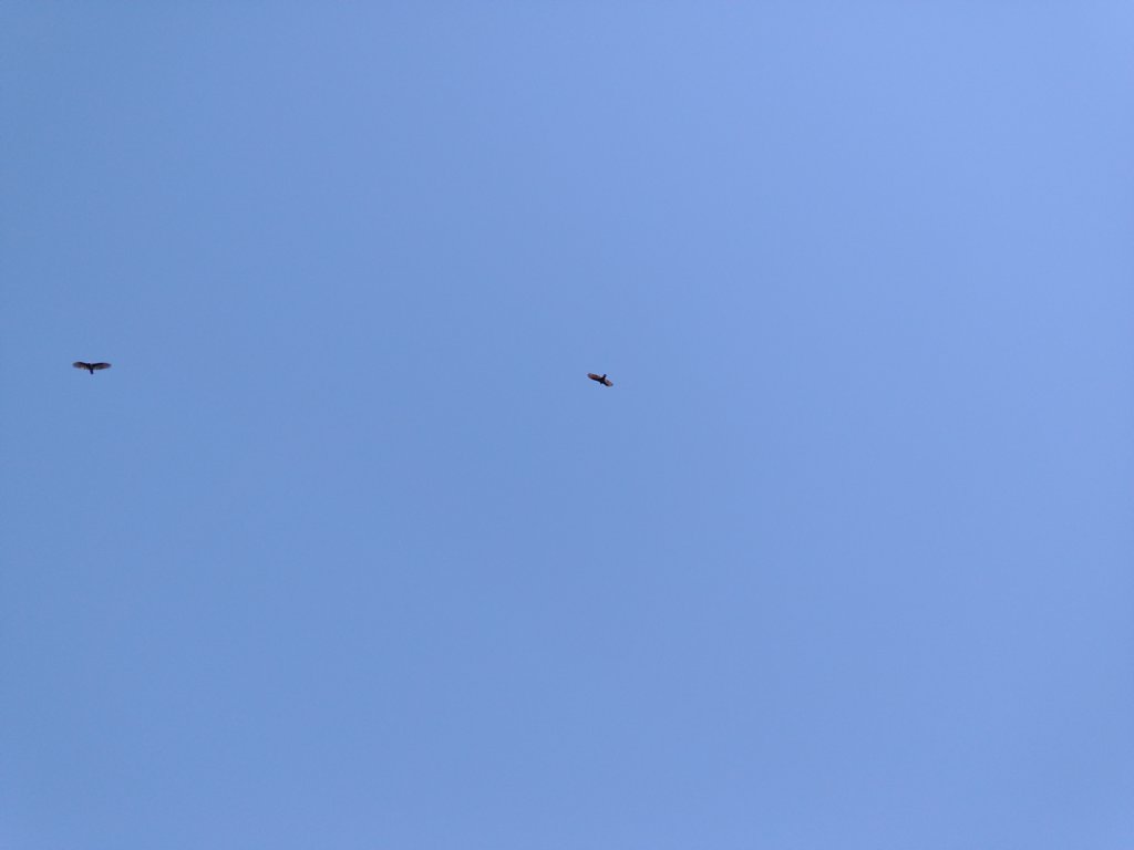 img_20201115_143300534.jpg
