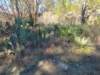 img_20201115_143332240_small.jpg