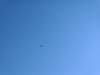 img_20201115_143342315_small.jpg
