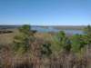 img_20201115_143545544_small.jpg