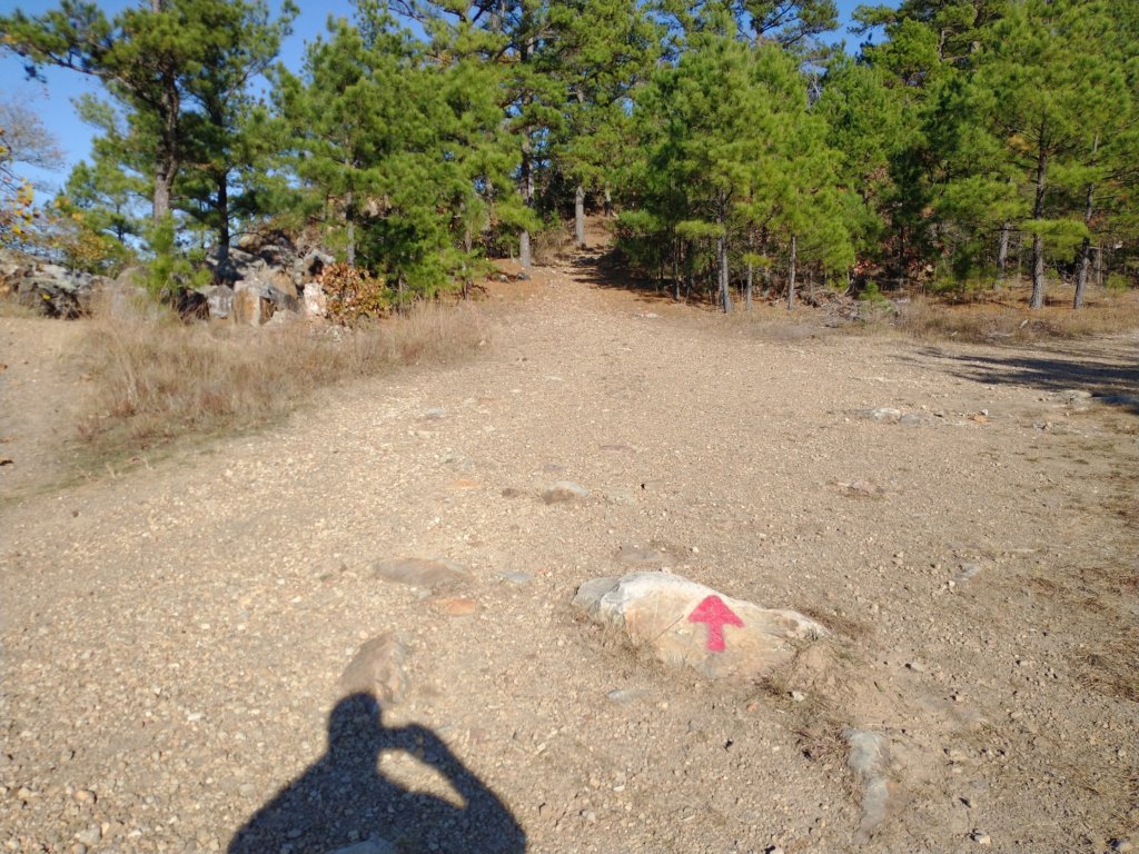 img_20201115_143600765.jpg
